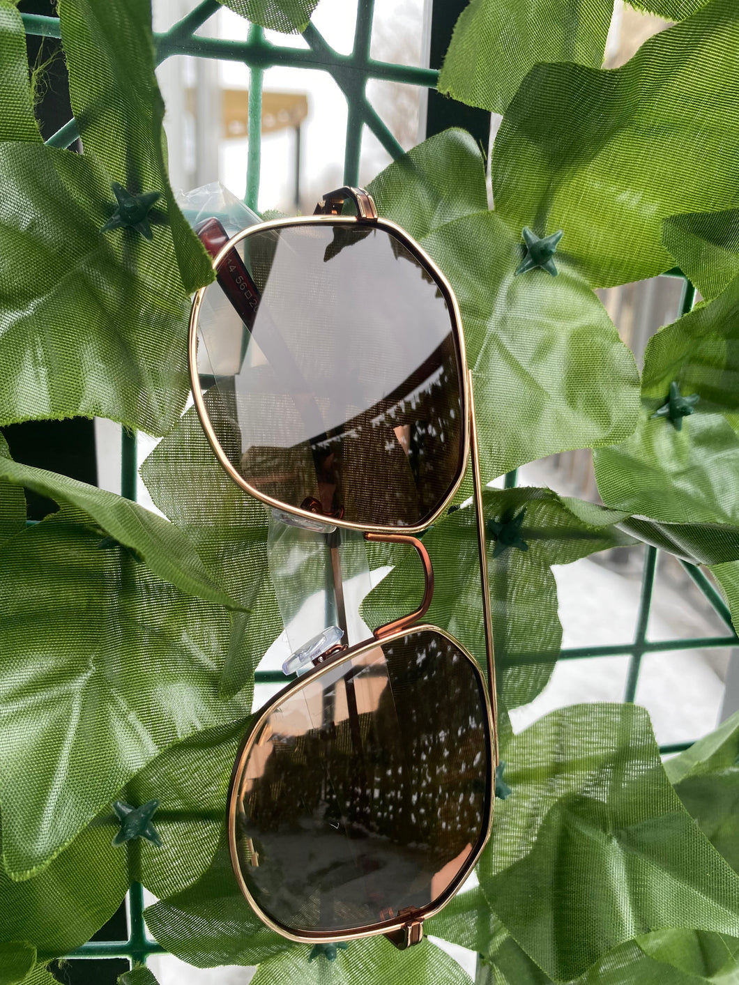 Ana Ray Sunglasses